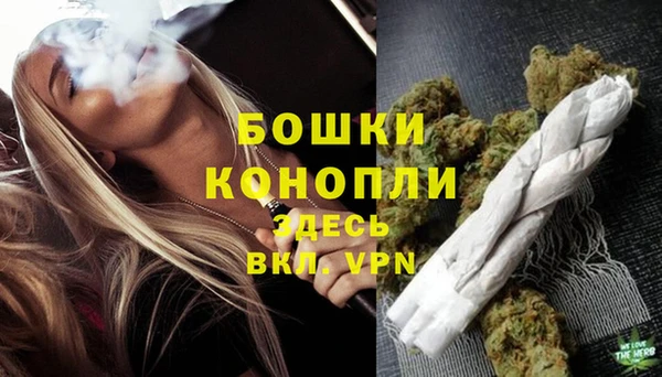 бошки Заводоуковск