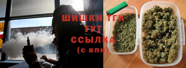 бошки Заводоуковск